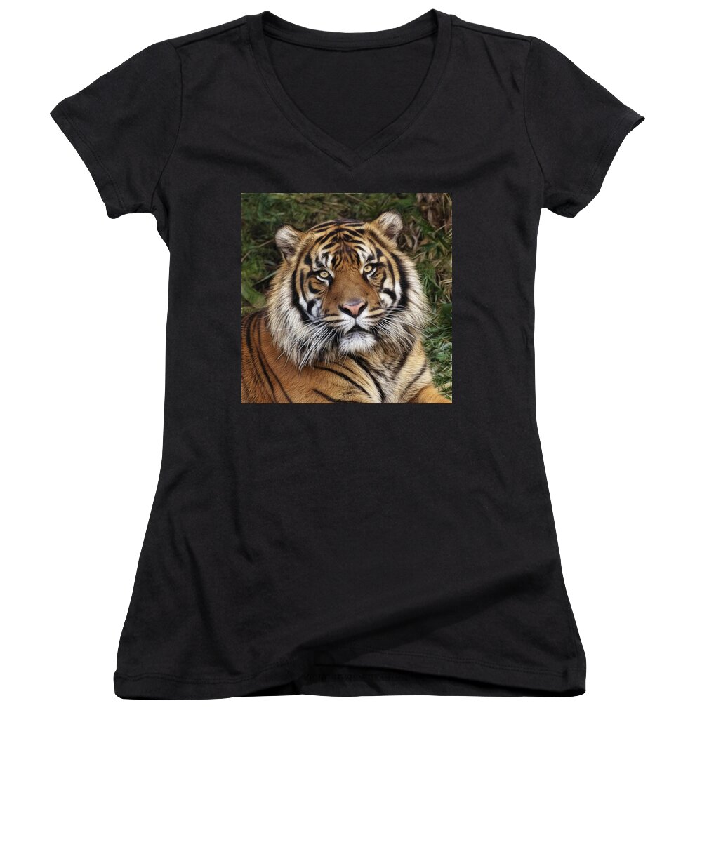 Come Pet Me Women's V-Neck featuring the photograph Come Pet Me by Wes and Dotty Weber