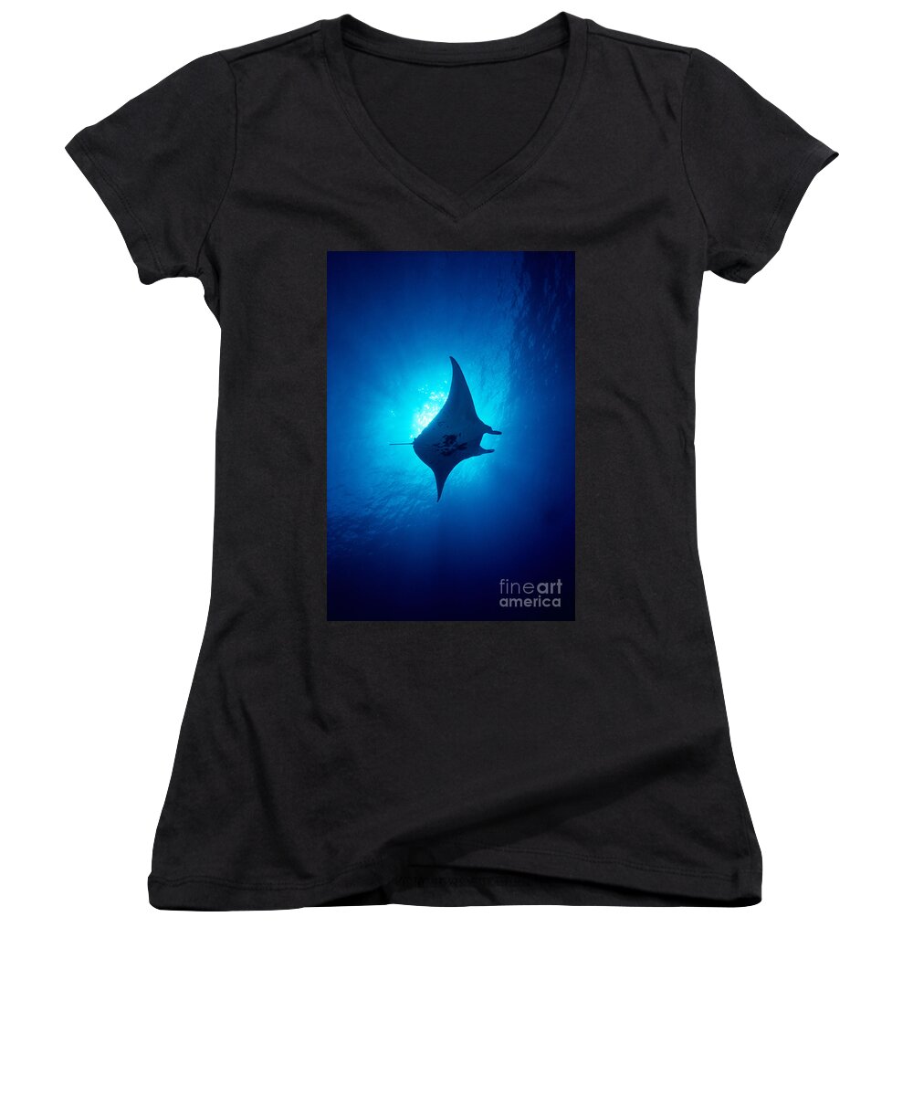A86b Women's V-Neck featuring the photograph Common Manta Ray by Ed Robinson - Printscapes