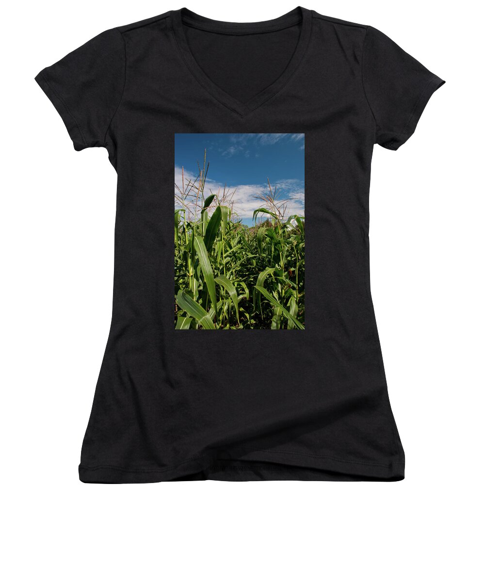 Corn Women's V-Neck featuring the photograph Corn 2287 by Guy Whiteley