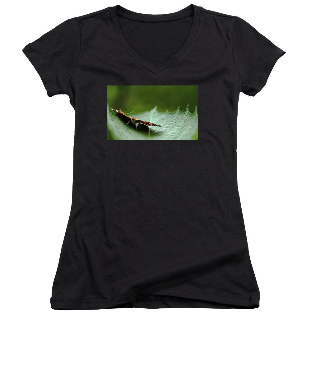 Butterfly Women's V-Neck featuring the photograph Cradled Painted Lady by Debbie Oppermann