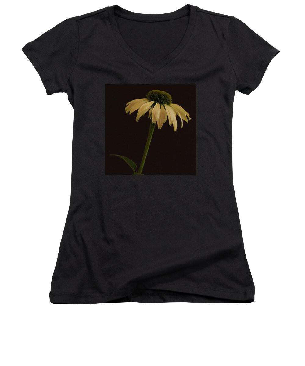 Cone Flowers Women's V-Neck featuring the photograph Creamy Yellow Coneflower by Sandra Foster