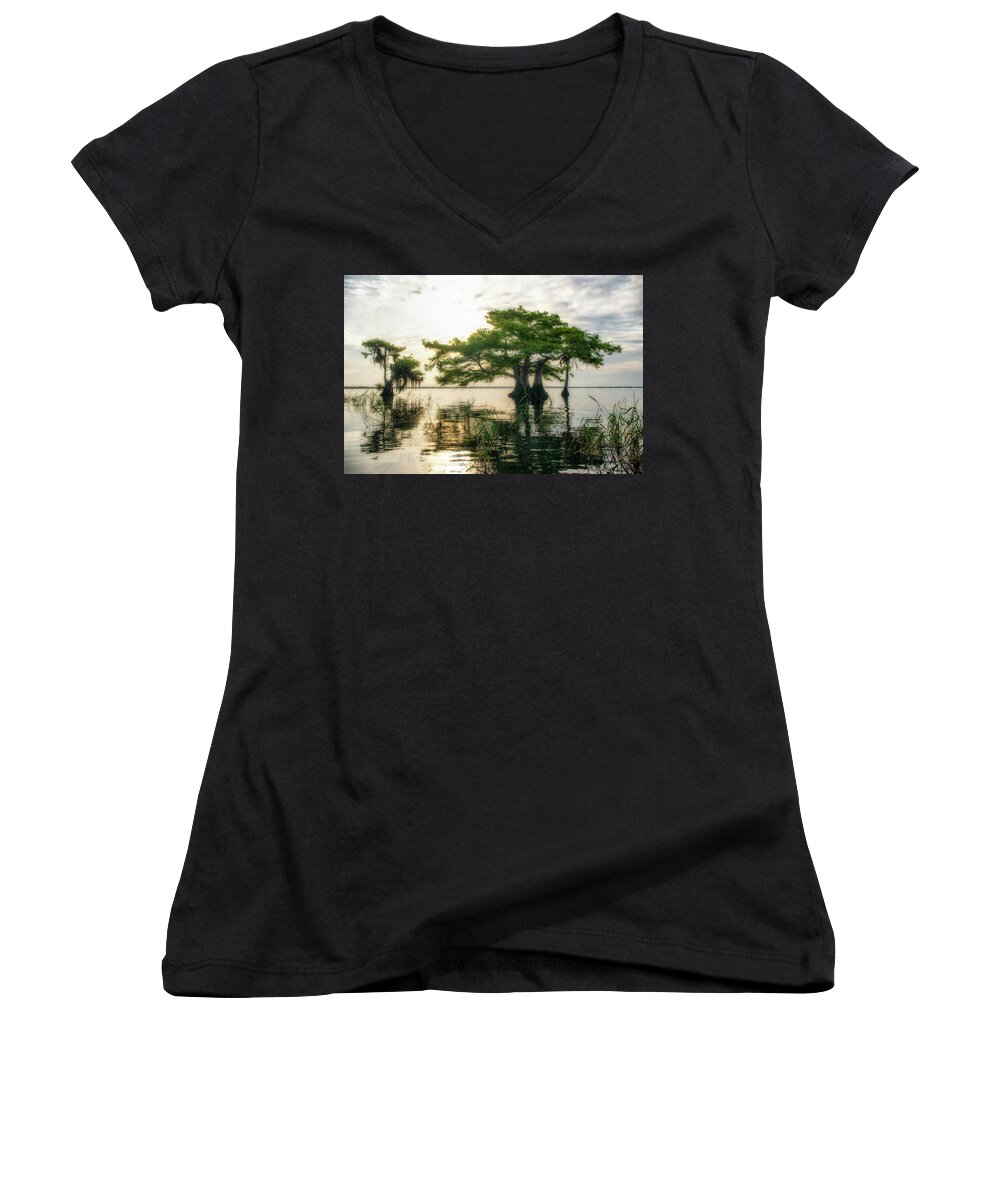 Crystal Yingling Women's V-Neck featuring the photograph Cypress Bonsai by Ghostwinds Photography