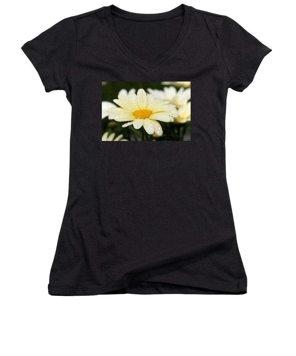 Daisy Women's V-Neck featuring the photograph Daisy After Shower by Angela Rath