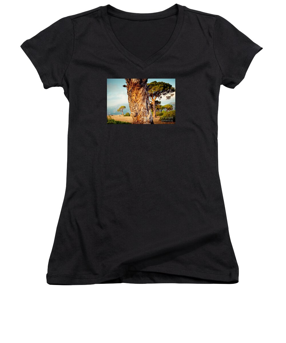 Water Women's V-Neck featuring the photograph Dead Tree and forest by Raimond Klavins