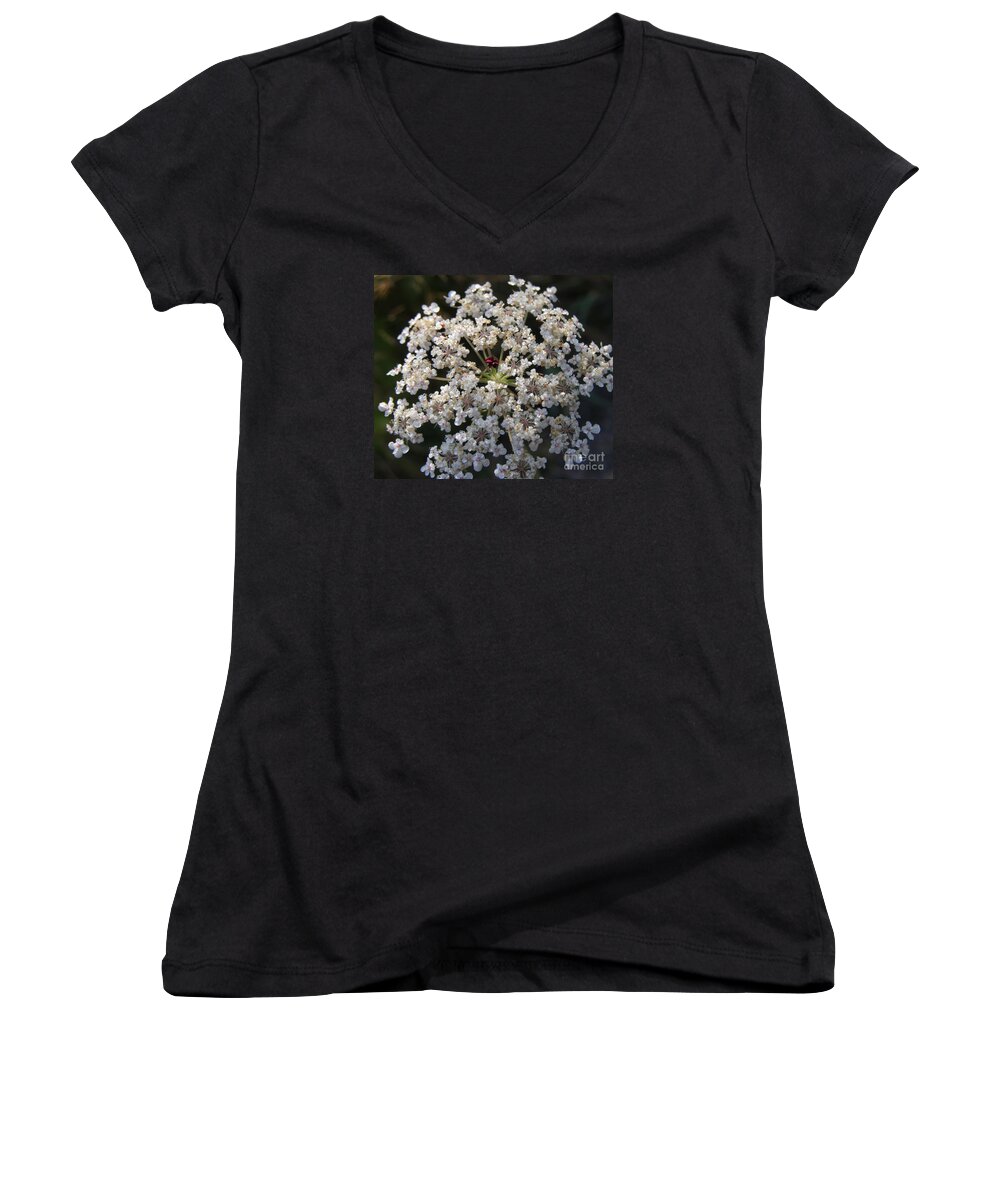 Wildflowers Women's V-Neck featuring the photograph Dew on Queen Annes Lace by Lynn Quinn