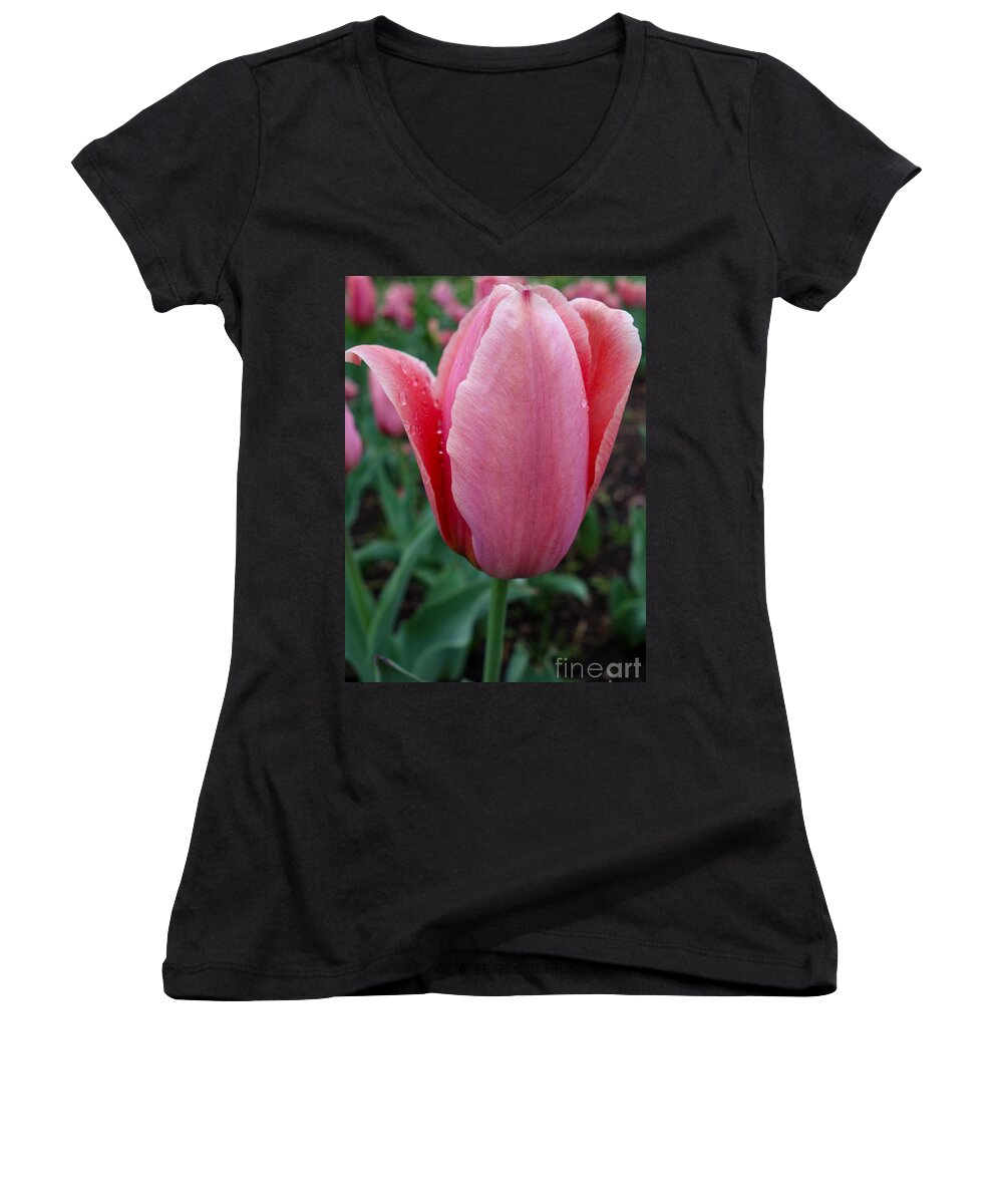 Dewy Tulip Flower Women's V-Neck featuring the photograph Dewy Tulip by Jacqueline Athmann
