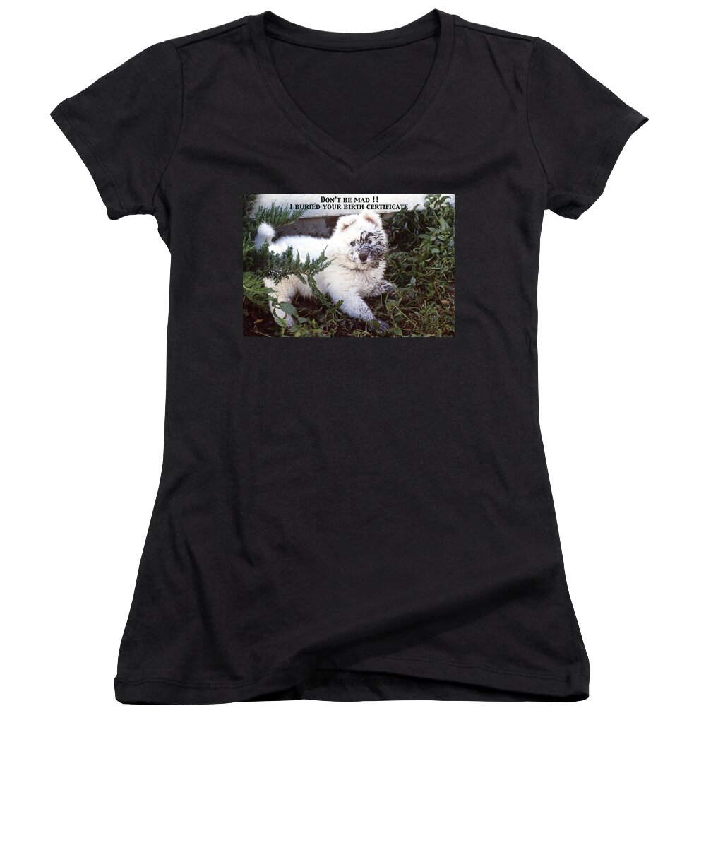 Samoyed Women's V-Neck featuring the photograph Dirty Dog Birthday Card by Ginny Barklow