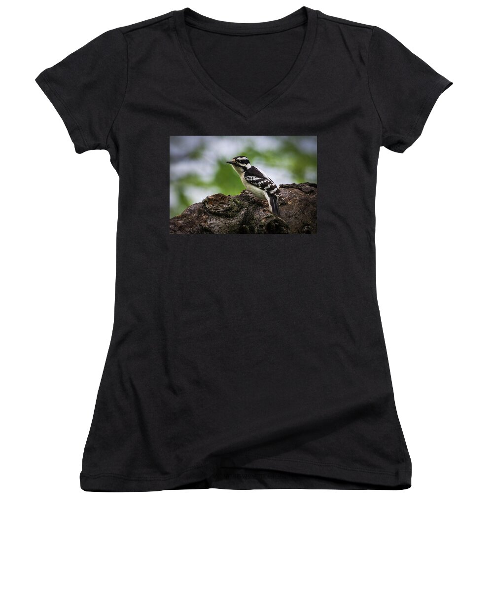 Spring Women's V-Neck featuring the photograph Downy Woodpecker by John Benedict