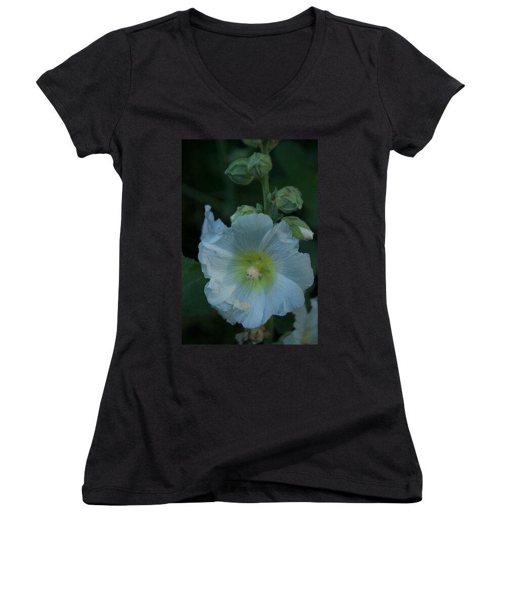 Flower Women's V-Neck featuring the photograph Dust by Joseph Yarbrough