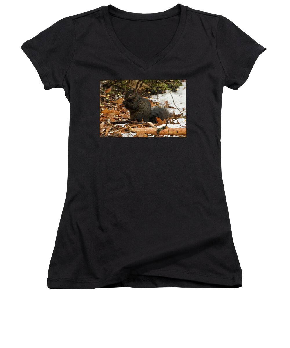 Gray Women's V-Neck featuring the photograph Eastern Gray Squirrel Black Morph by Michael Peychich