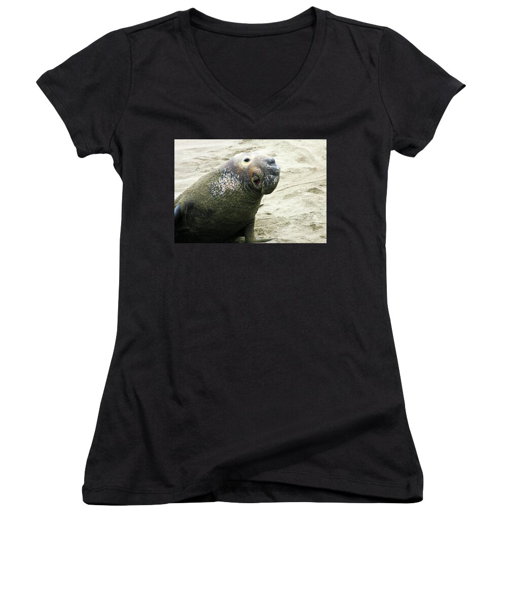 Elephant Seal Women's V-Neck featuring the photograph Elephant Seal by Anthony Jones