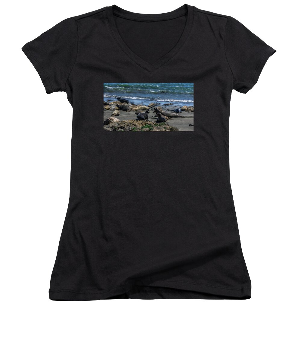 Elephant Seals Women's V-Neck featuring the photograph Elephant Seals Sparring by Elaine Webster