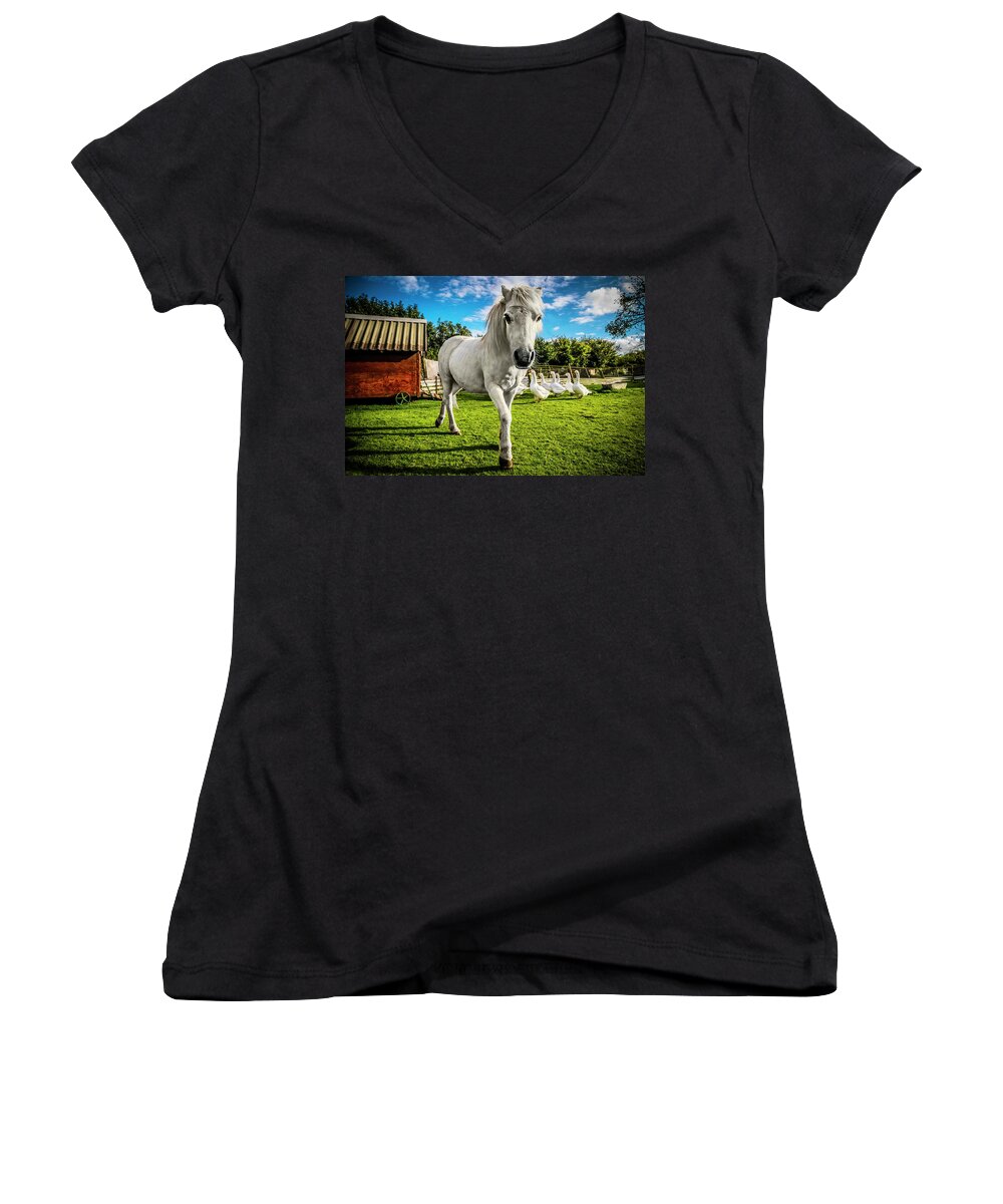 Horse White Pony Gypsy Camp Trailer Wagon Geese Grass Blue Sky Rural England Colorful Women's V-Neck featuring the photograph English Gypsy Horse by Jennifer Wright
