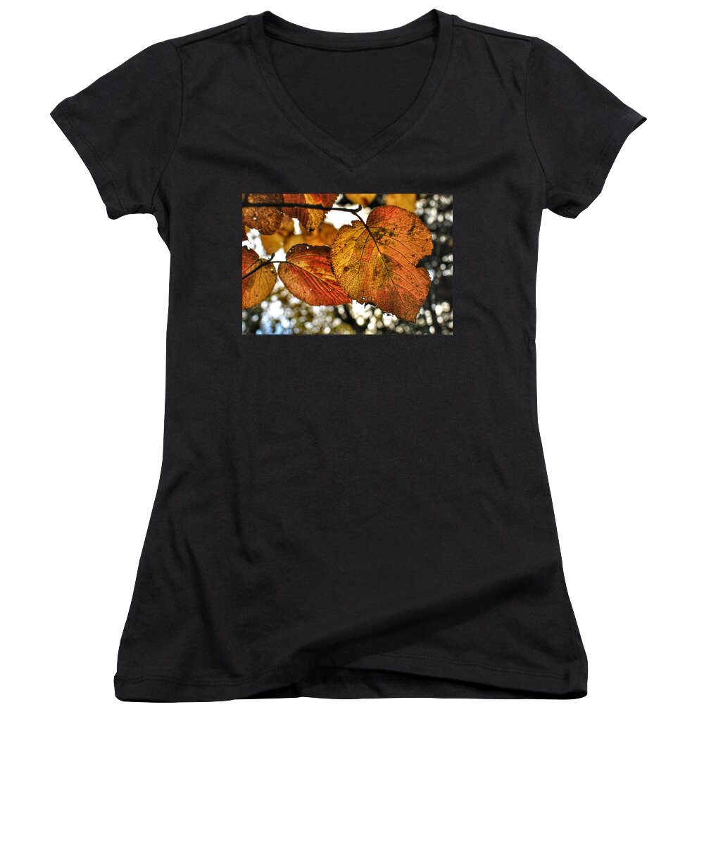 Fall Leaves Women's V-Neck featuring the photograph Fall Leaves by Doug Ash