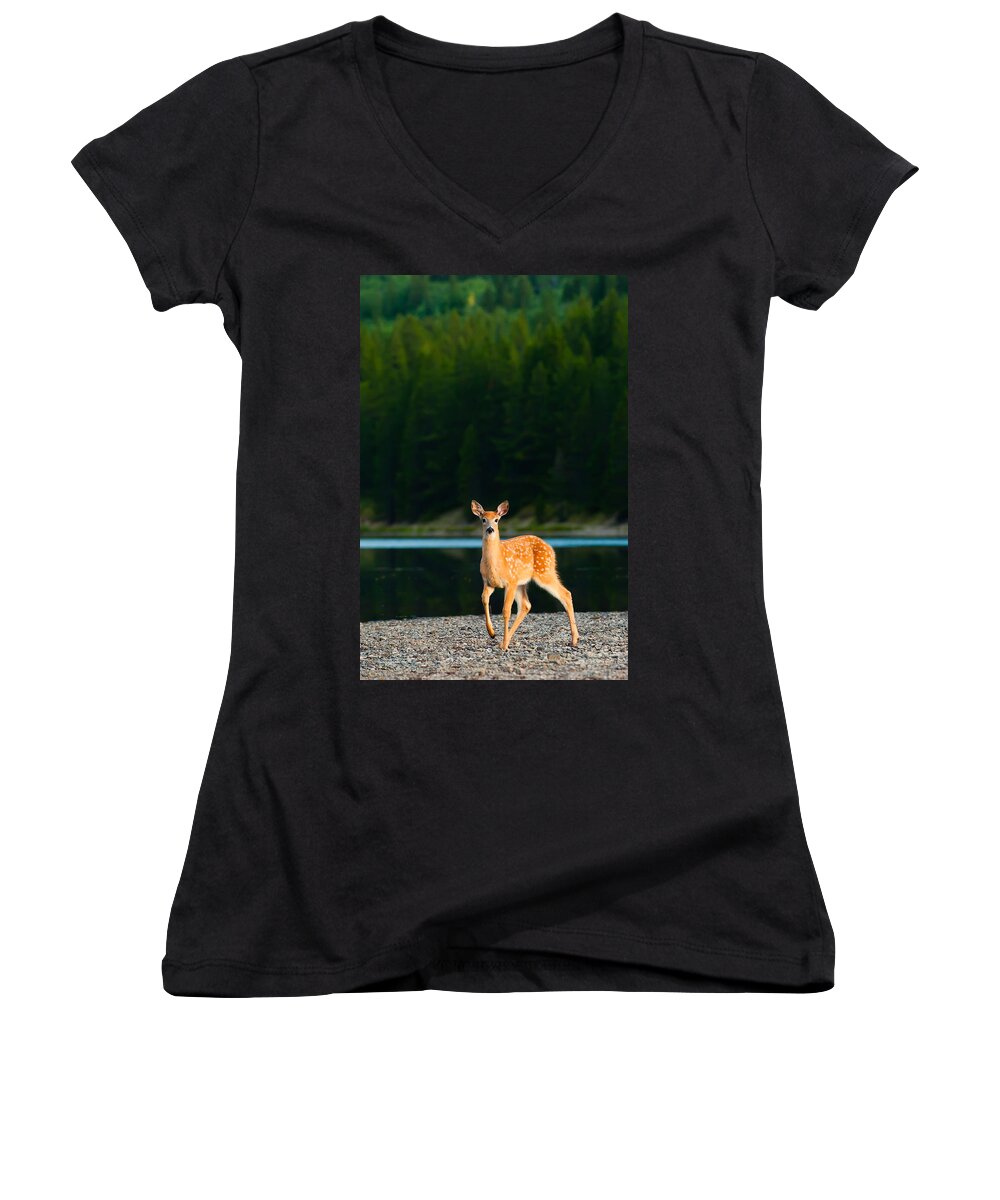 2006 Women's V-Neck featuring the photograph Fawn by Sebastian Musial