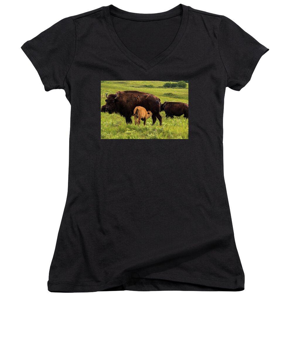 Jay Stockhaus Women's V-Neck featuring the photograph Feeding Time by Jay Stockhaus