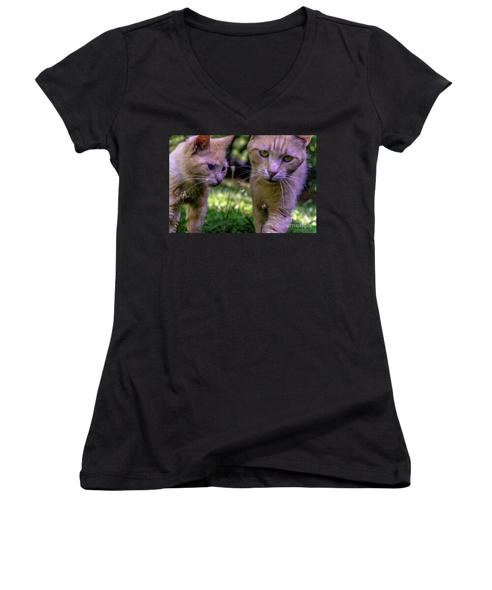 0369 Women's V-Neck featuring the photograph Feline Best Friends Skippy and Lovey 0369 by Ricardos Creations