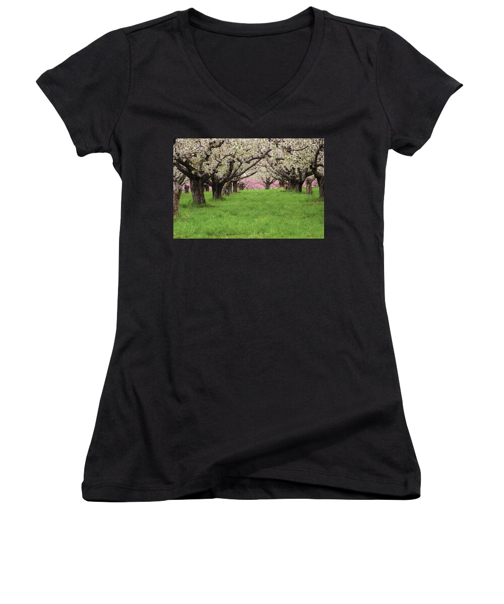 Orchard Women's V-Neck featuring the photograph Fruit Orchard by Douglas Pulsipher