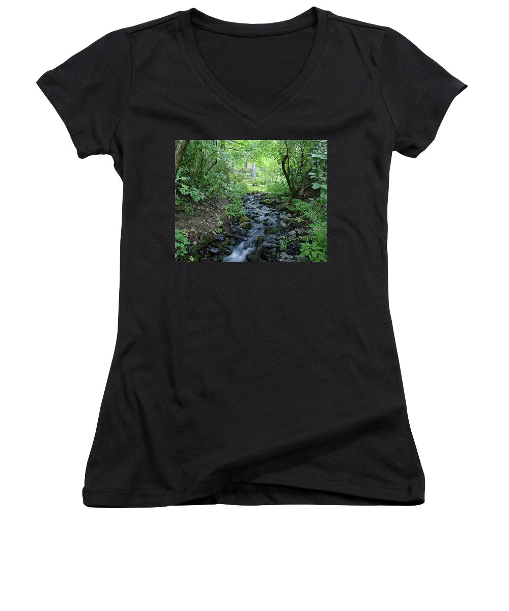 Nature Women's V-Neck featuring the photograph Garden Springs Creek in Spokane by Ben Upham III