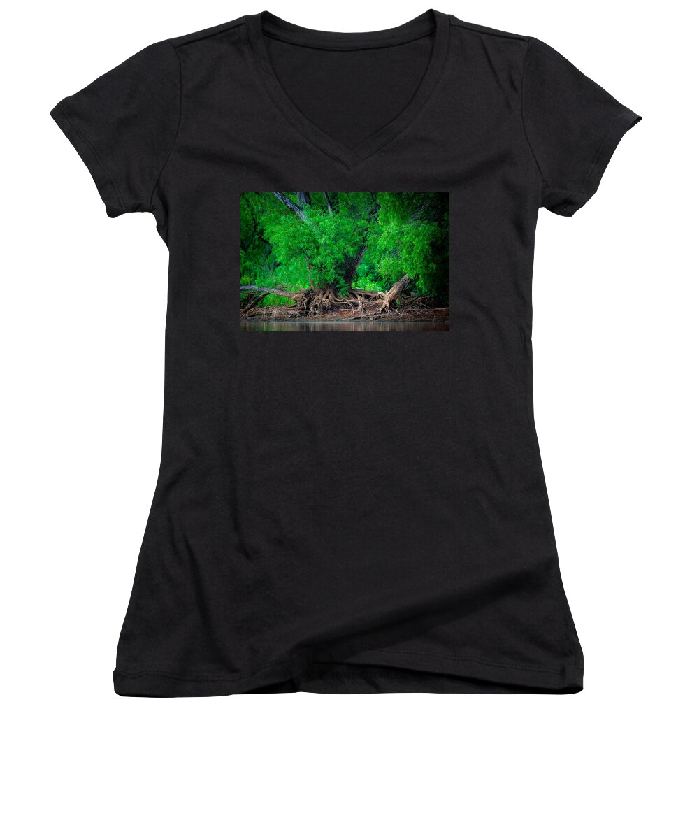 Tree Women's V-Neck featuring the photograph Grandfather Willow by Jeff Phillippi