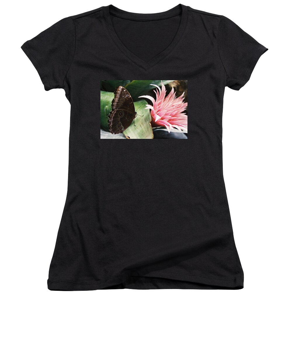 Butterfly Women's V-Neck featuring the photograph Grey Pansy Pink Bromeliad by Ric Bascobert