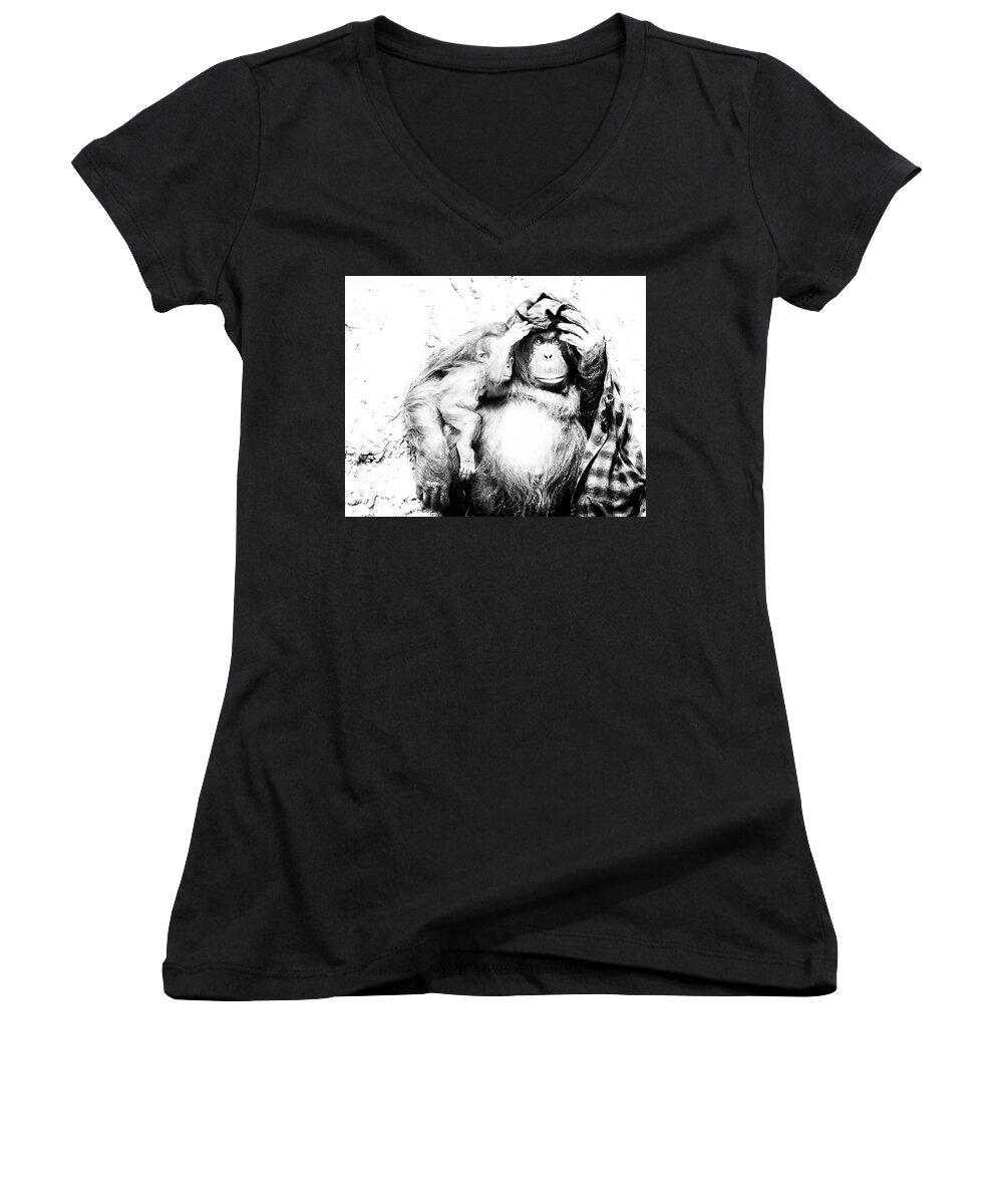 Crystal Yingling Women's V-Neck featuring the photograph Hangin Out by Ghostwinds Photography