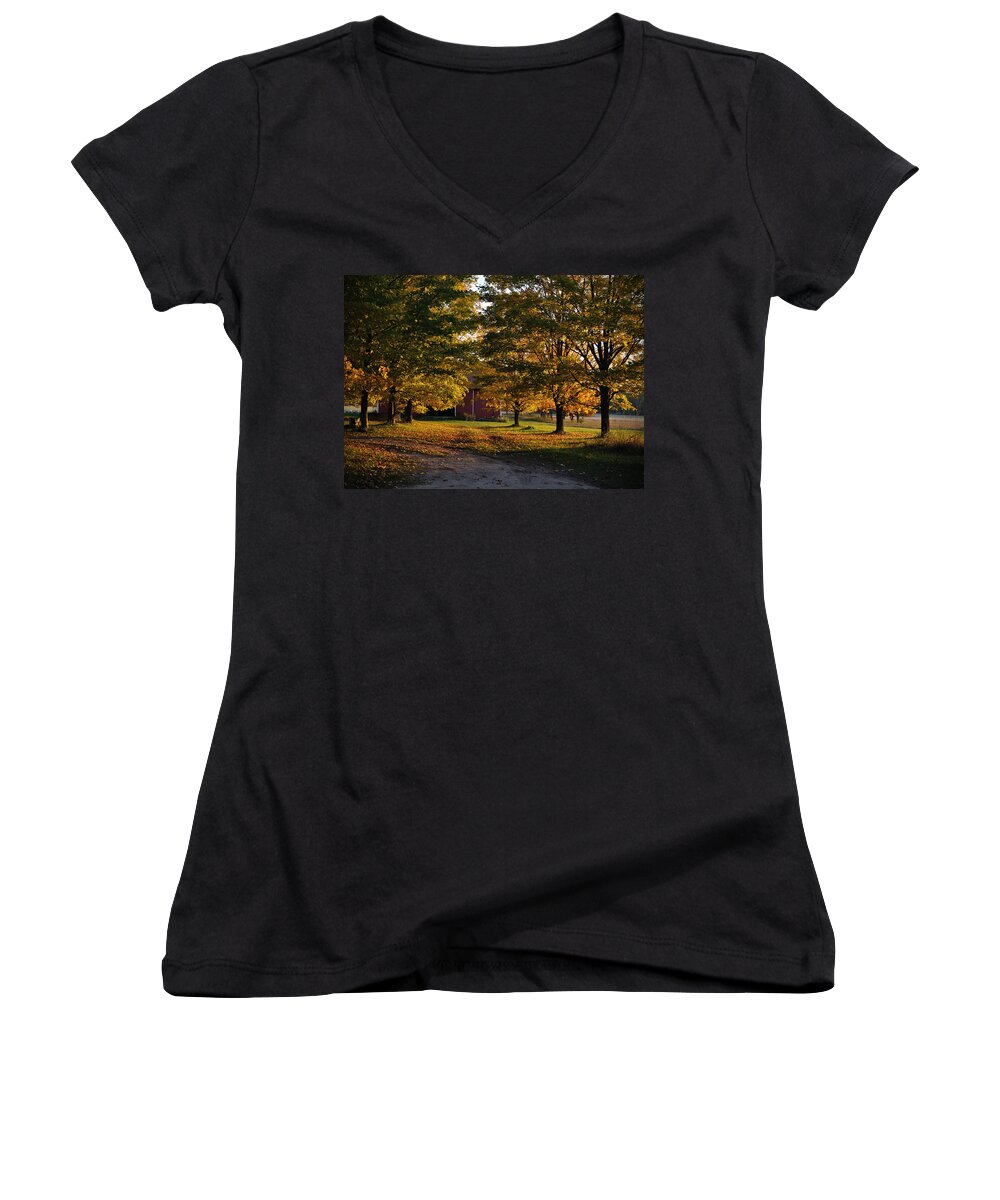 Fall Women's V-Neck featuring the photograph Homecoming by Tim Nyberg