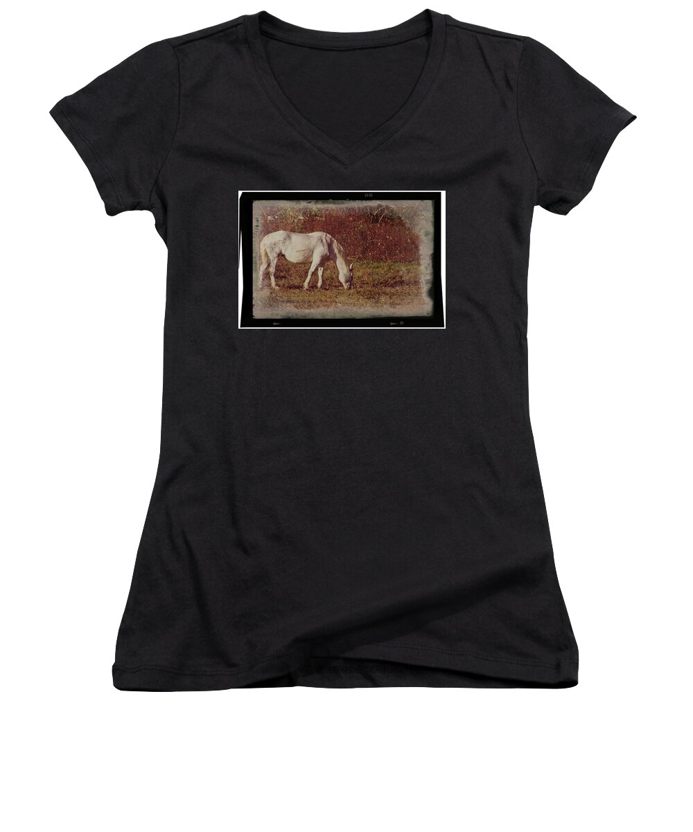 Wildlife Women's V-Neck featuring the photograph Horse Grazing by John Benedict