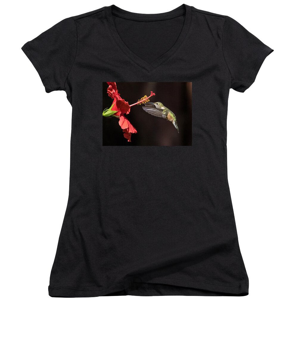 Animals Women's V-Neck featuring the photograph Hummingbird and Hibiiscus by Dawn Key