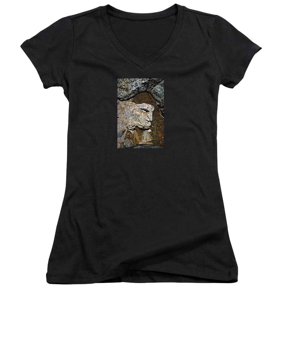The Walkers Women's V-Neck featuring the photograph If Looks Could Grill by The Walkers