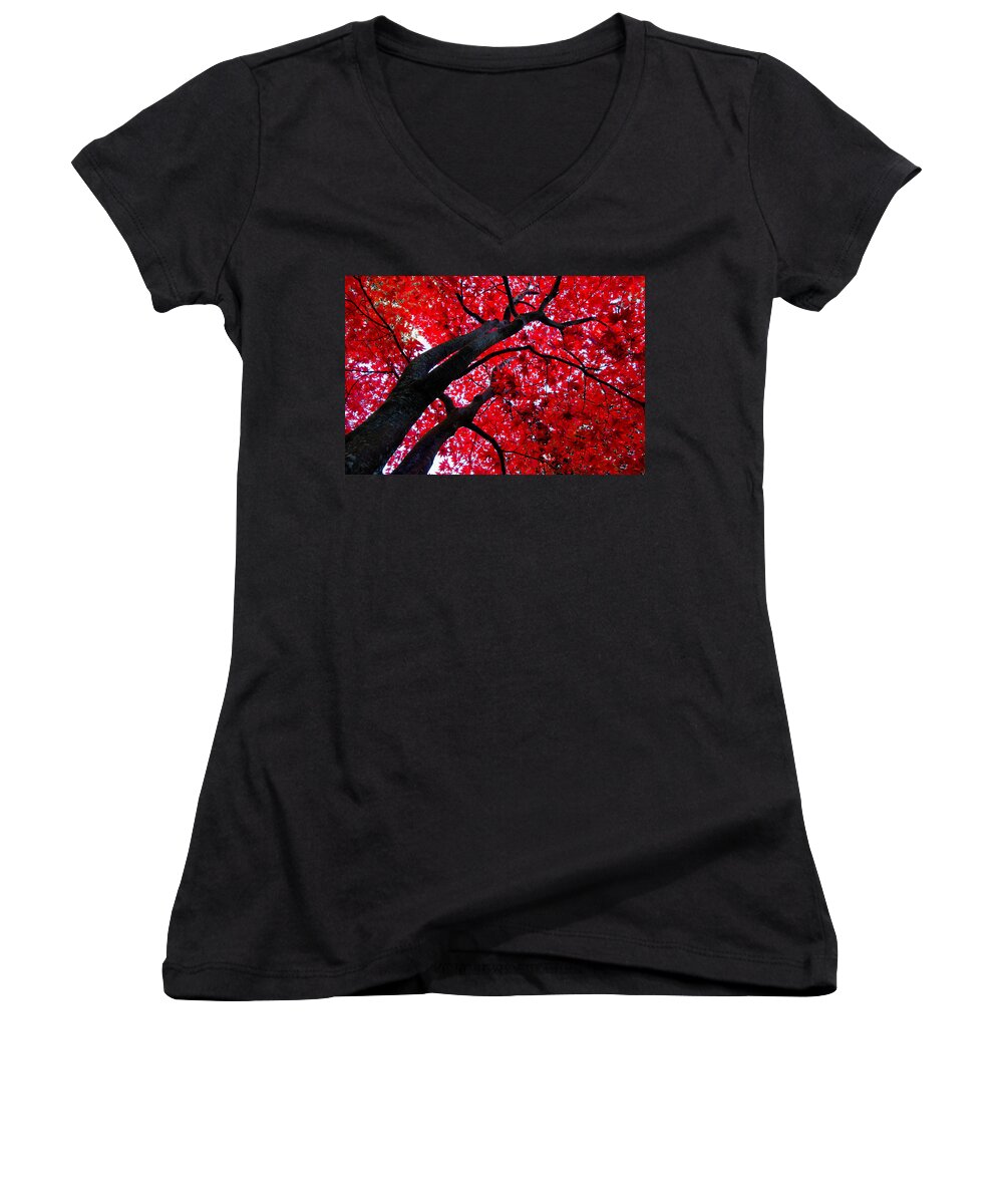Red Women's V-Neck featuring the photograph Japanese Maple by Joy McAdams