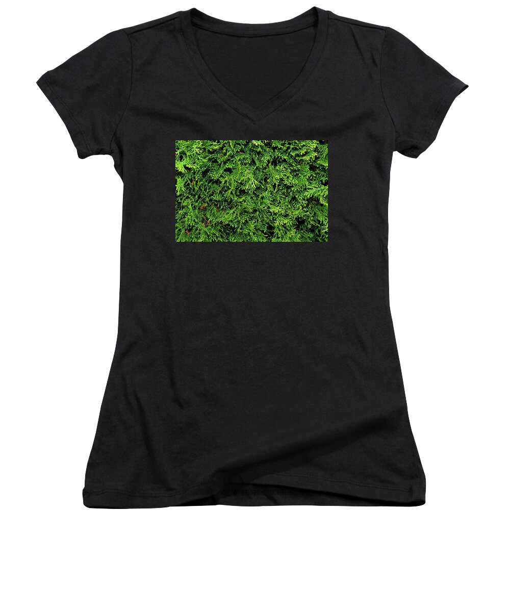 04.17.16_a 2589.jpg Women's V-Neck featuring the photograph Life in green by Dorin Adrian Berbier