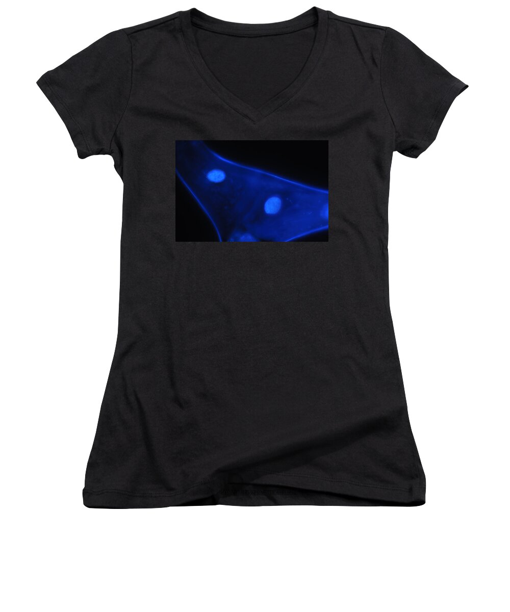 Blue Women's V-Neck featuring the photograph Liquid Blue 1 by Mark Fuller