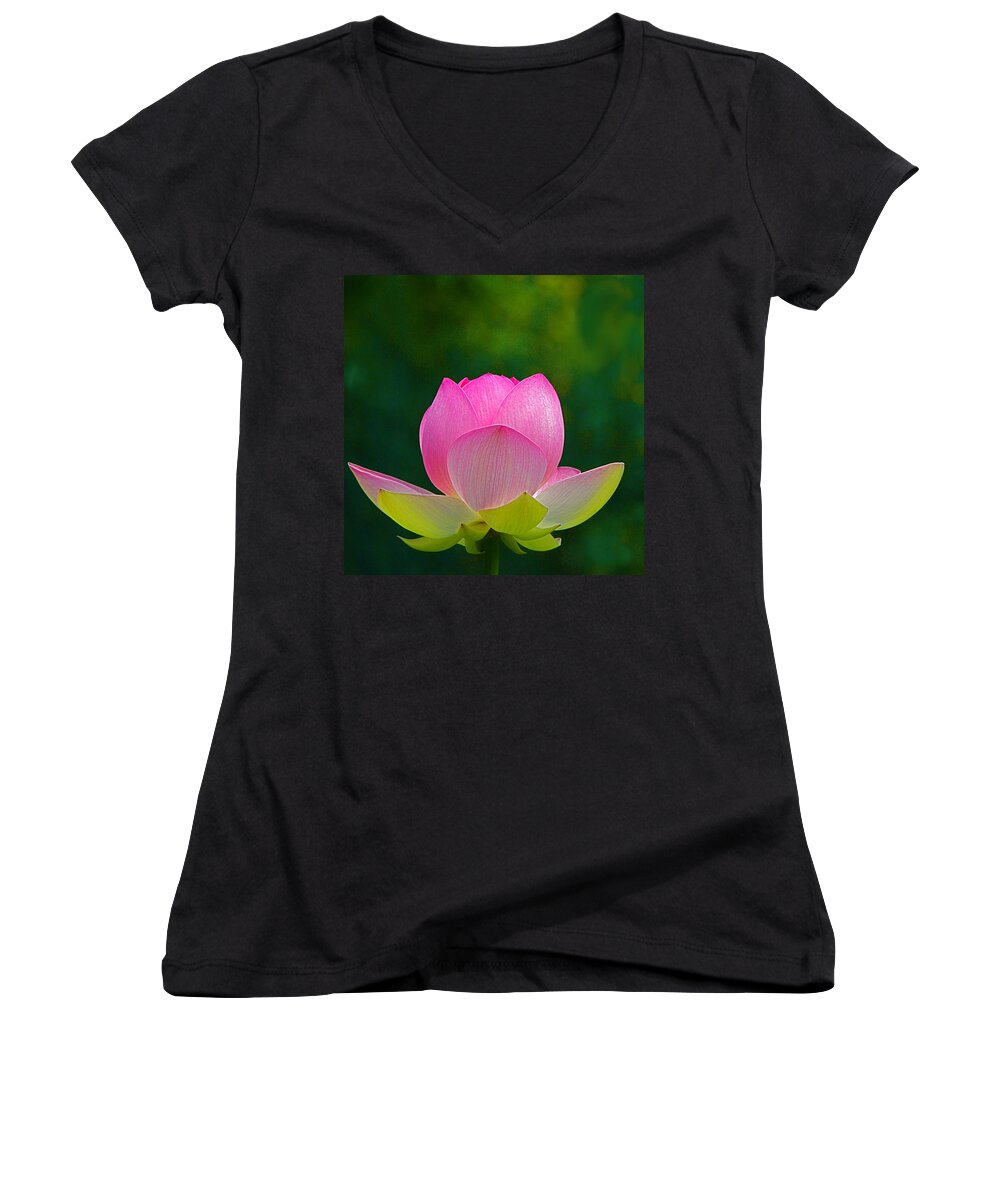 Flower Women's V-Neck featuring the photograph Lotus Blossom 842010 by Byron Varvarigos
