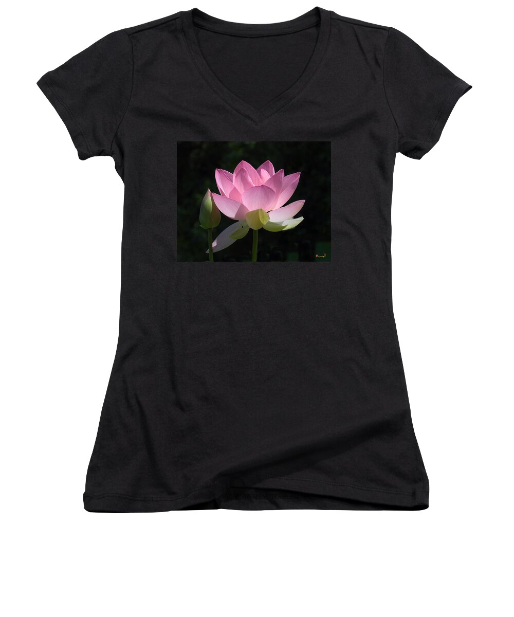 : Women's V-Neck featuring the photograph Lotus Bud--Snuggle Bud DL005 by Gerry Gantt