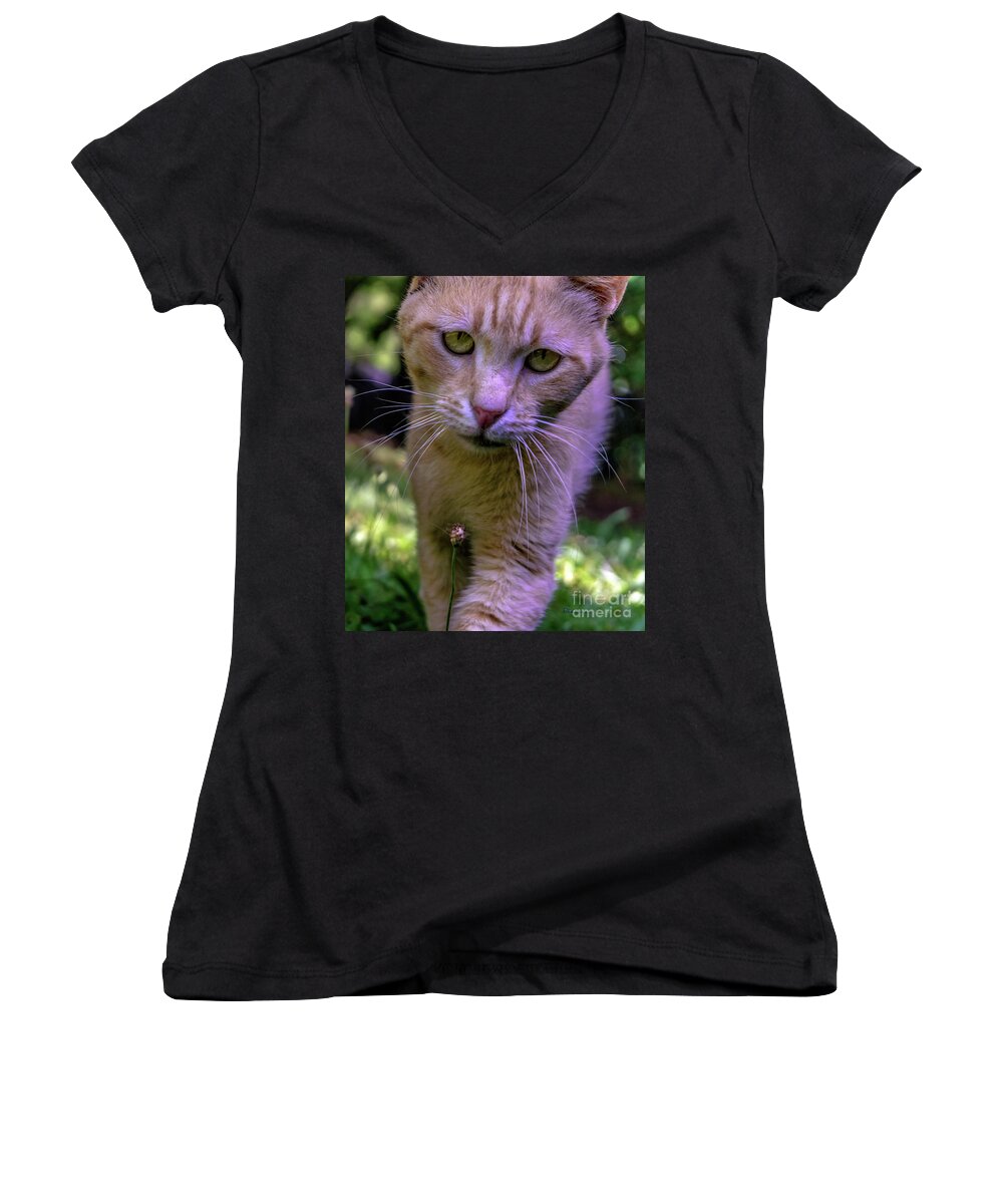 0369a Women's V-Neck featuring the photograph Lovey Feral Cat Portrait 0369a by Ricardos Creations