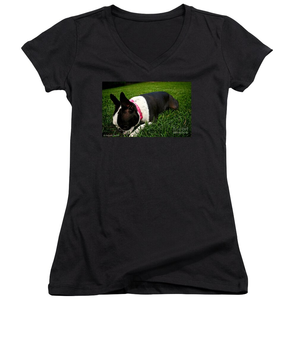 Animal Women's V-Neck featuring the photograph Lucky Four Leaf Clover by Susan Herber
