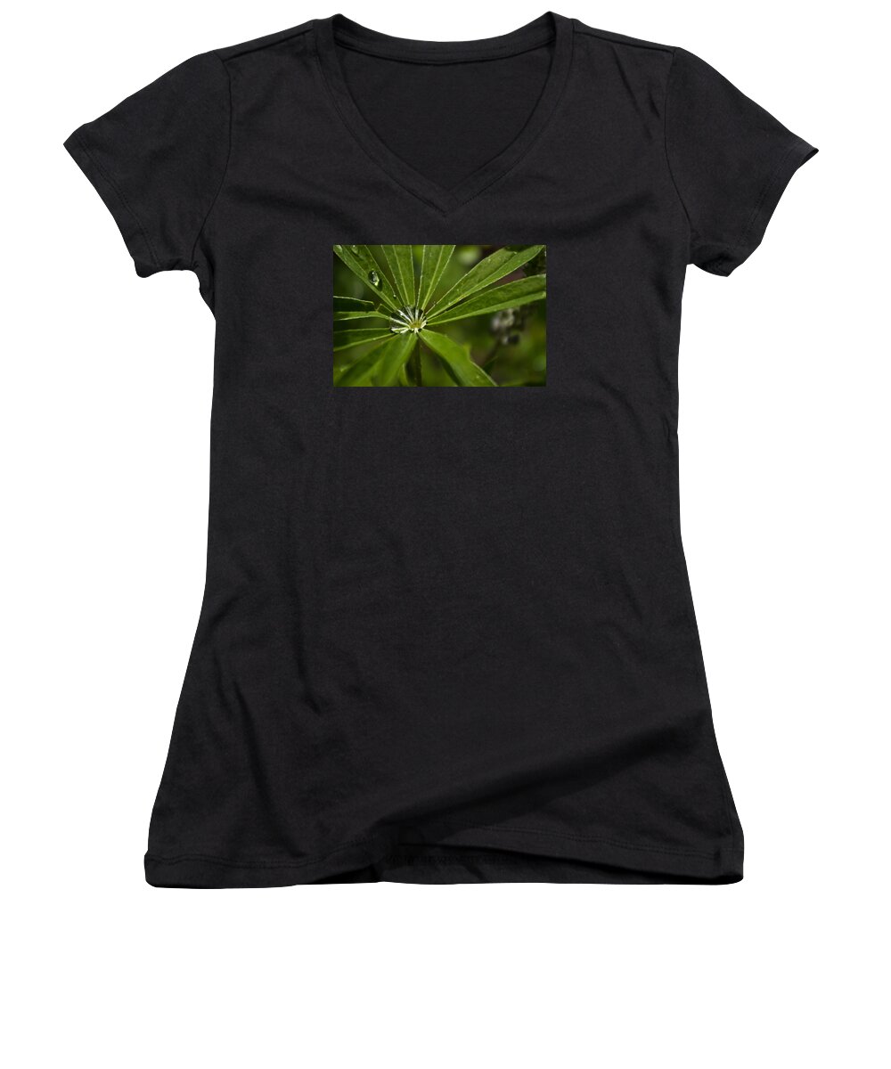 Leaf Women's V-Neck featuring the photograph Lupine Leaf by Jedediah Hohf
