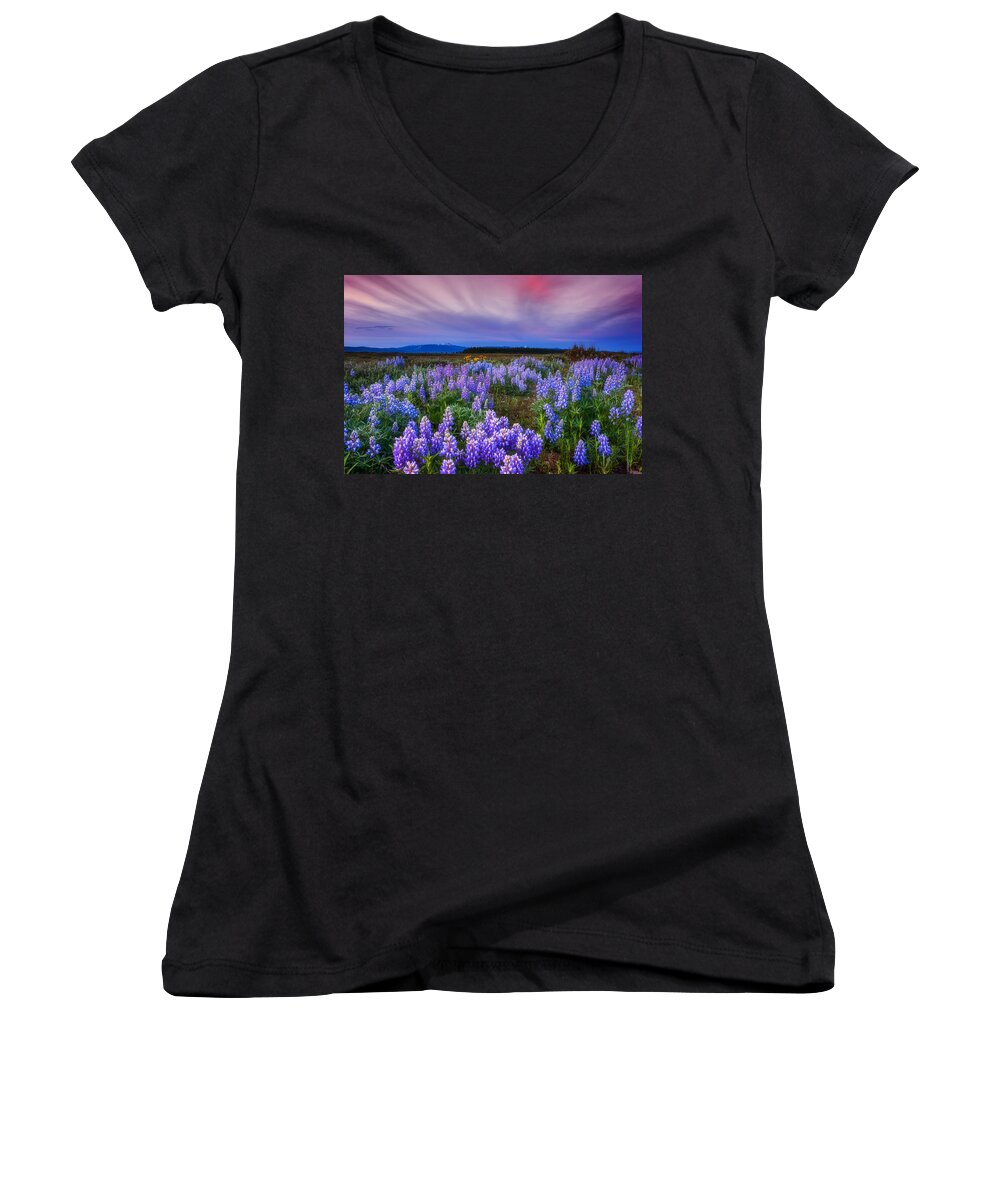 Wildflowers Women's V-Neck featuring the photograph Lupine Morning by Darren White