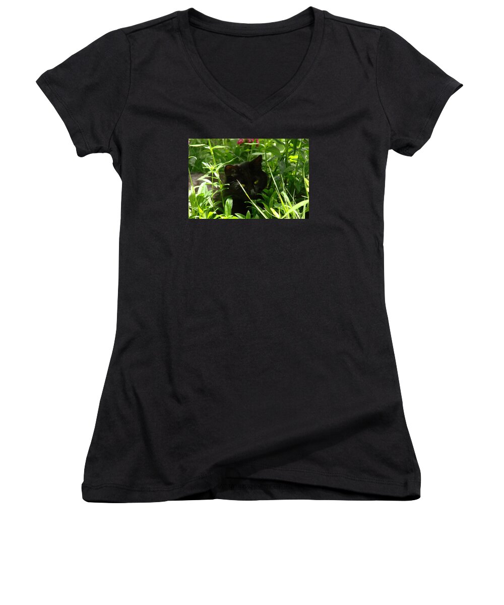 Cats Women's V-Neck featuring the photograph Meow by Mary Halpin