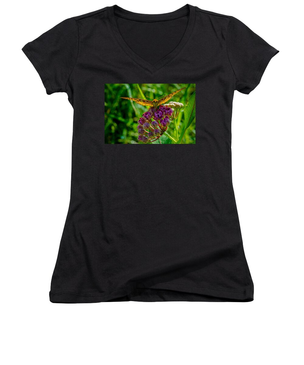 Insect Women's V-Neck featuring the photograph Milkweed Buffet by Jeff Phillippi