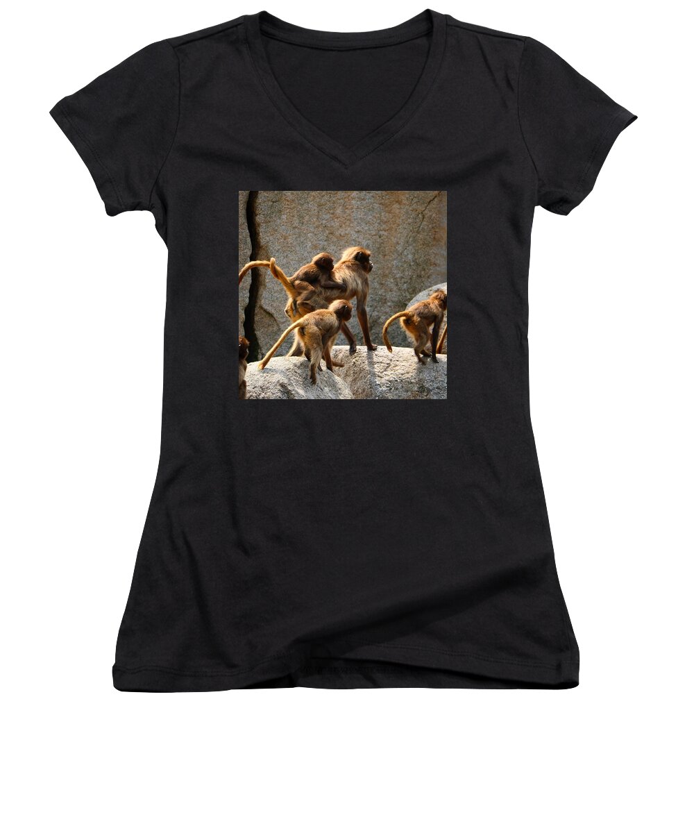 Animal Women's V-Neck featuring the photograph Monkey Family by Dennis Maier
