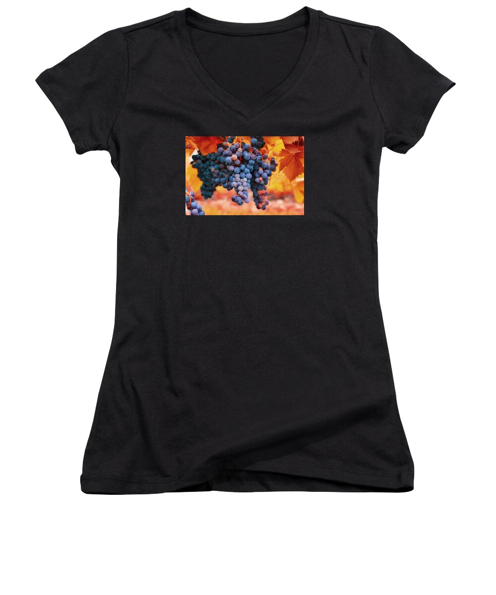 Multicolored Grapes Women's V-Neck featuring the photograph Multicolored grapes by Lynn Hopwood