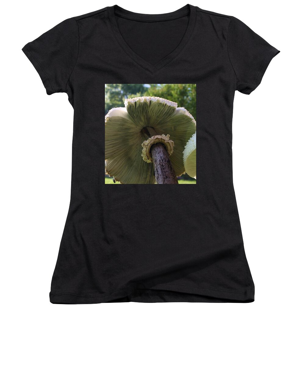 Plant Women's V-Neck featuring the photograph Mushroom Down Under by Bruce Bley