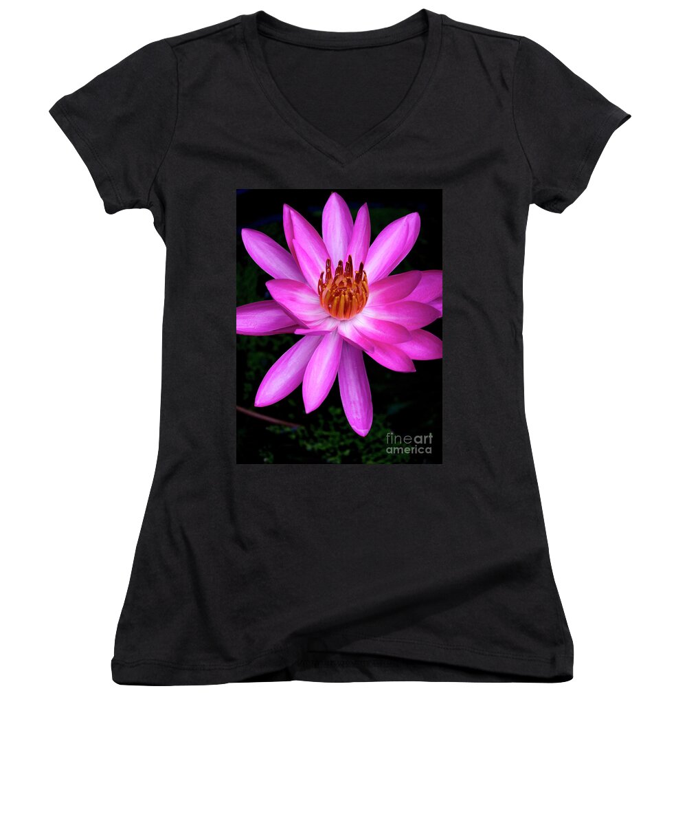 Magenta Women's V-Neck featuring the photograph Opening - Early Morning Bloom by Kerryn Madsen-Pietsch