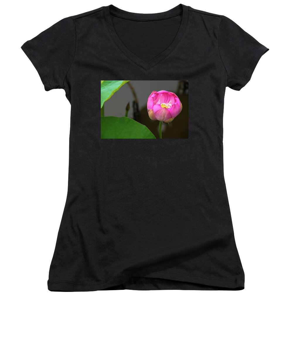 Bloom Women's V-Neck featuring the photograph Opening Lotus Lily by Dennis Dame