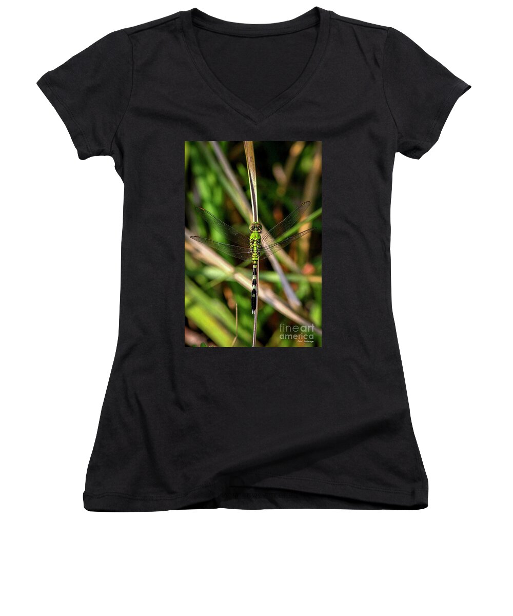 Reid Callaway Green Dragonflies Women's V-Neck featuring the photograph Openminded Green Dragonfly Art by Reid Callaway