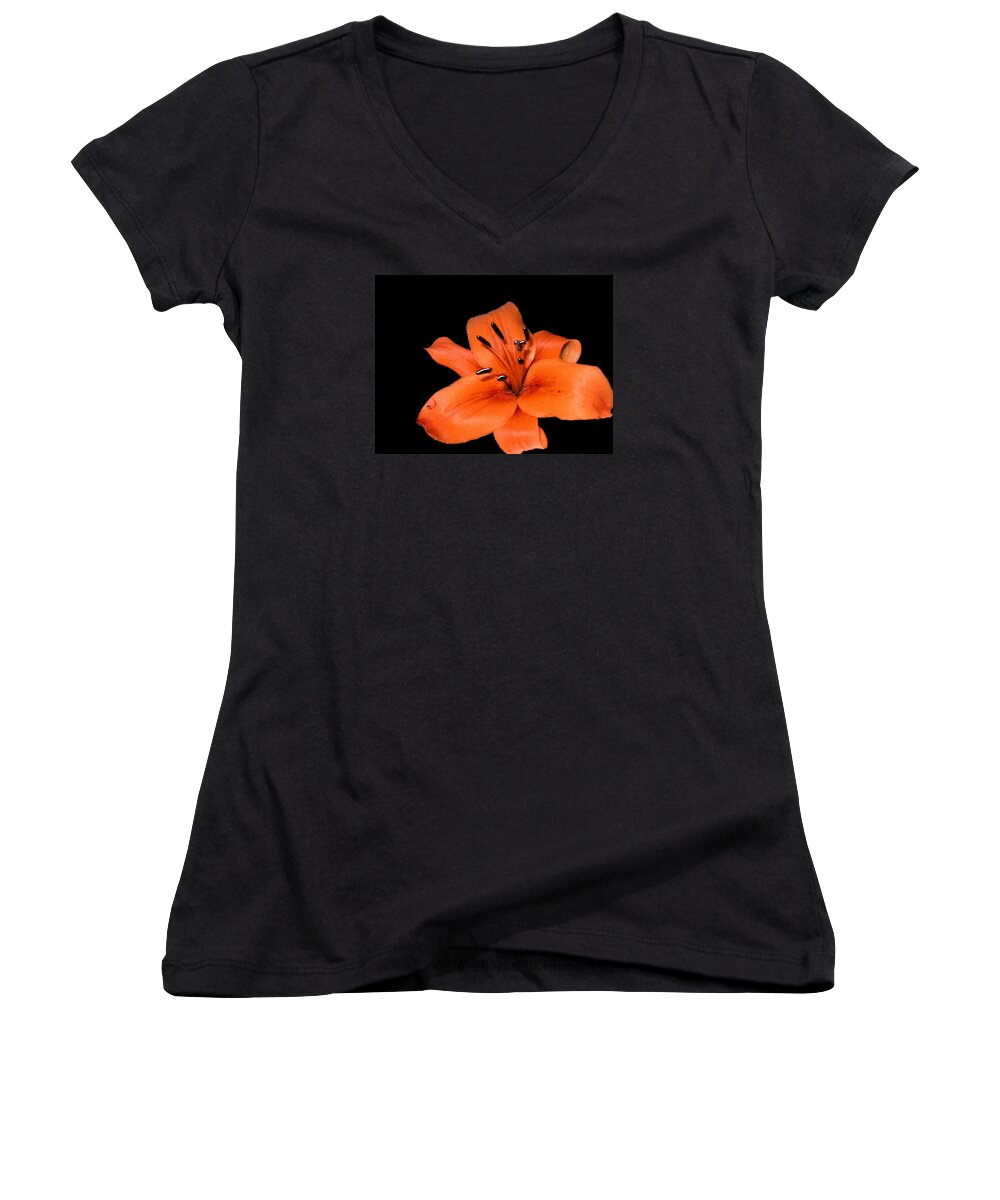 Flowers Women's V-Neck featuring the photograph Orange Orchid on Black by Karen Nicholson