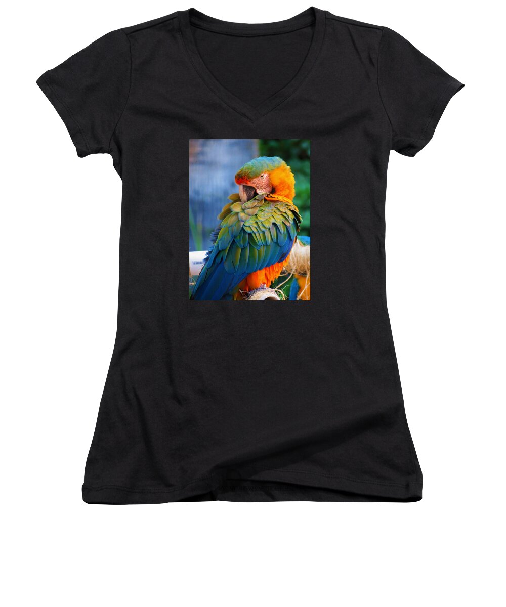 Photography Women's V-Neck featuring the photograph Parrot 2 by Vijay Sharon Govender