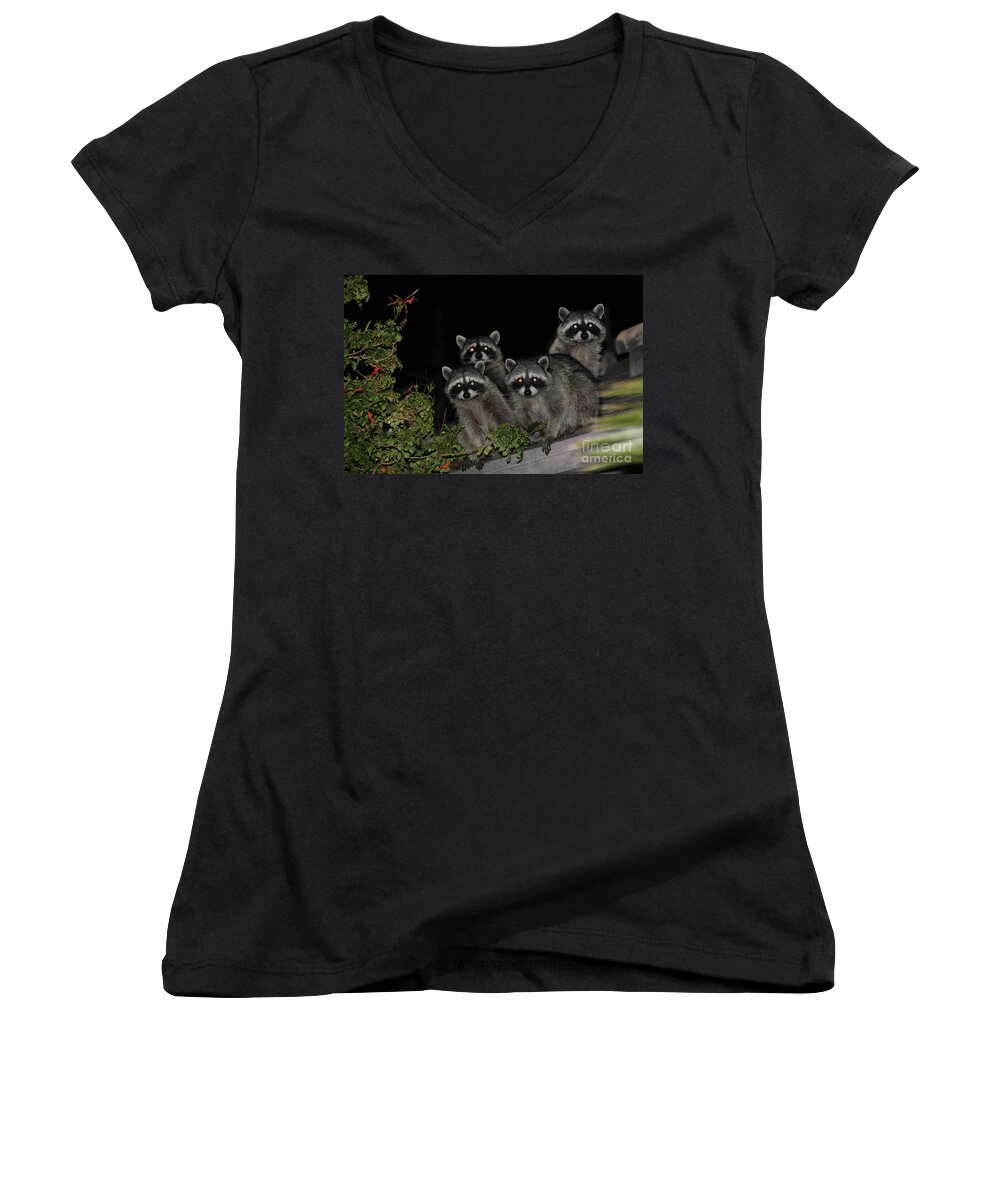 Nature Women's V-Neck featuring the photograph Party of Five on the Roof Top by Nina Prommer